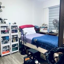 Blk 527D Costa Ris (Pasir Ris), HDB 3 Rooms #613484401
